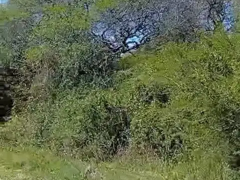 Campo en Venta con Alambrado