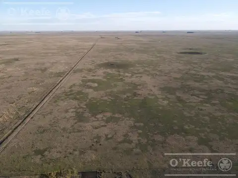 Campo ganadero en venta de 1362 has en Olavarria