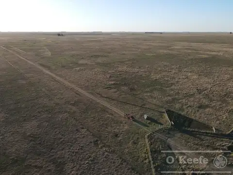 Campo ganadero en venta de 1362 has en Olavarria