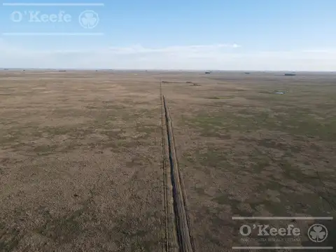 Campo ganadero en venta de 1362 has en Olavarria
