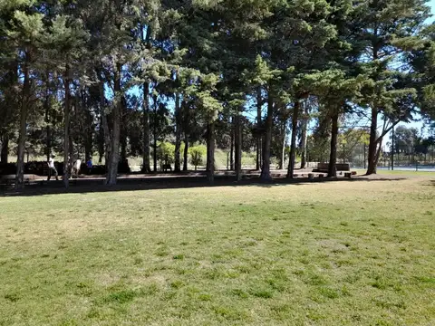 Terreno en Venta de 1200,0 m2