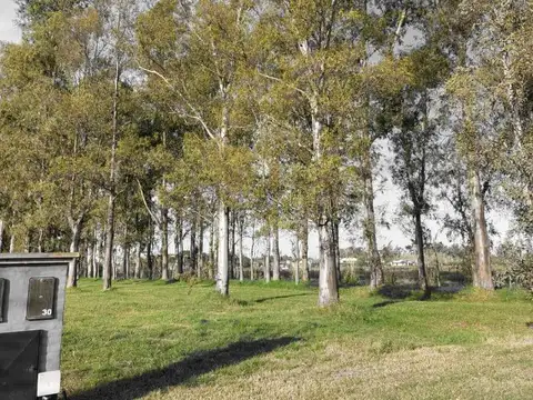 Terreno en Venta de 1200,0 m2
