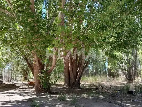 EN VENTA | LOTE B° LA FORESTADA | AÑELO