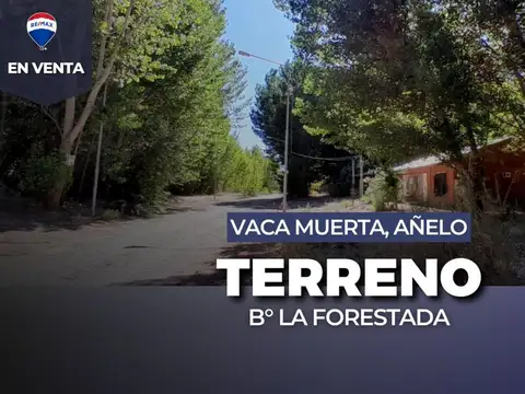 EN VENTA | LOTE B° LA FORESTADA | AÑELO