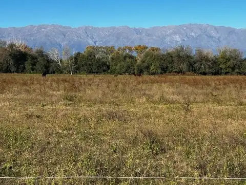 Terreno en Venta en Villa Dolores, San Javier