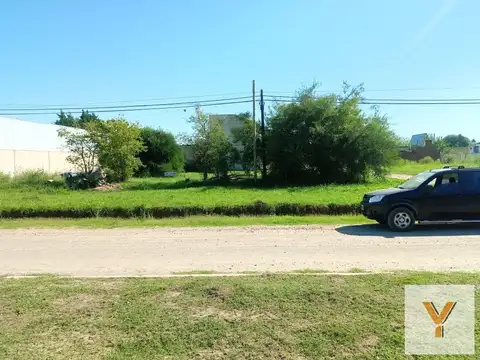Sanchez 100