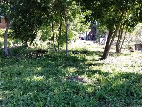 Terreno en Venta 23  mts Frente