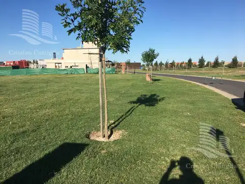 Terreno en Venta de 947,0 m2