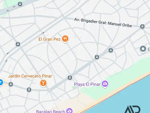 Pinar Sur, Ciudad de 100