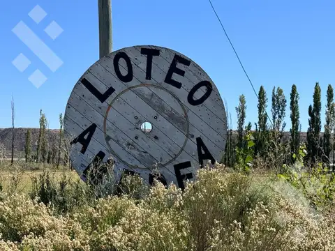 Terreno en Plottier