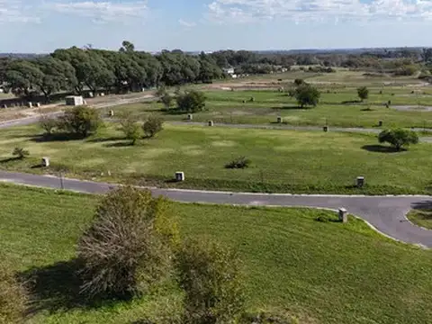 Doctor Manuel Argerich