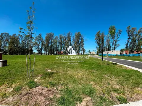 Terreno en Venta 15  mts Fondo