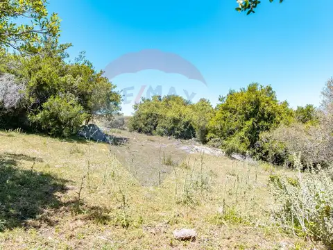 Chacras en venta Ruta 39 San Carlos - Oportunidad!