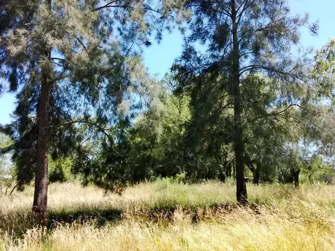 Terreno en Venta de 1900,0 m2