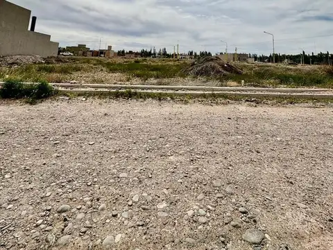 TERRENO PRIMA TERRA - CENTENARIO