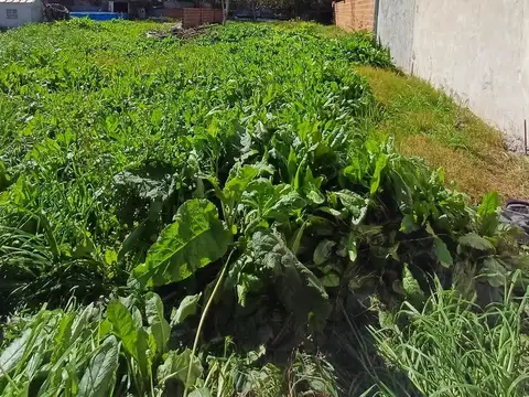 Terreno en venta, City Bell