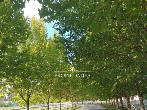 Haras del Sol 100