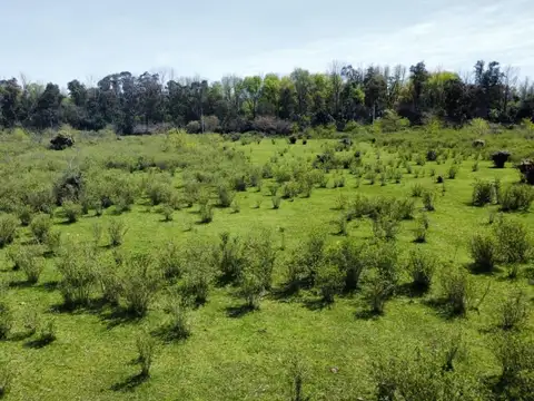 VENTA DE CAMPO – LA REJA, PARTIDO DE MORENO