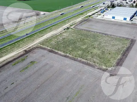 Fracción de 30.000 m² sobre Ruta 9 Ramallo – Frente sobre autopista - Ideal desarrollo comercial