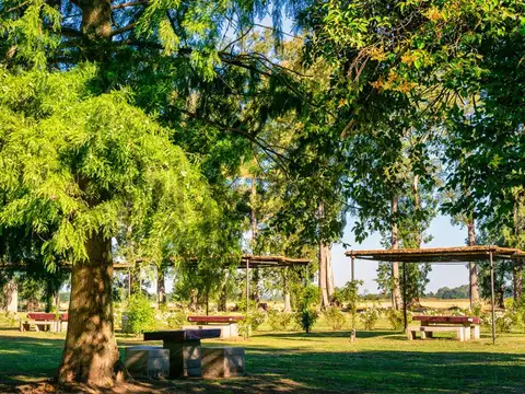 Terreno en Venta de 1000,0 m2