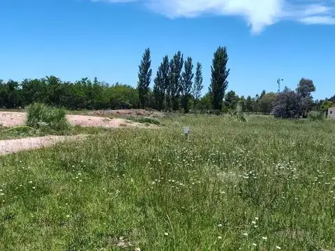 Terreno en venta - 30.953Mts2 - Estancia Benqueria, Monte