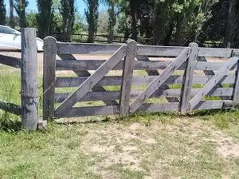 Benquerencia Farm Club