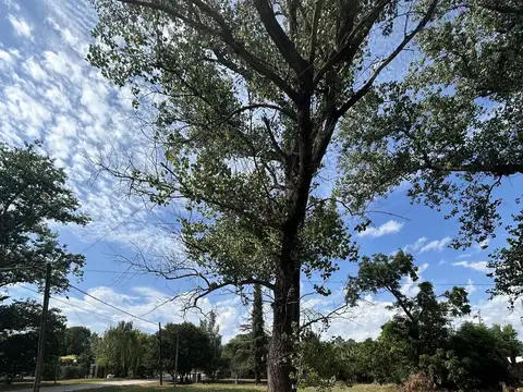 Terreno en Venta 30  mts Fondo