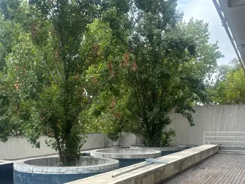 19 De Marzo 877 , Piso 6