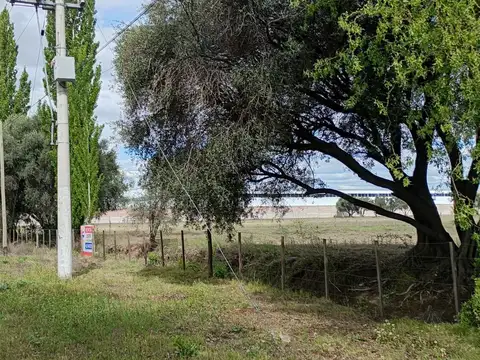 Ruta Provincial 188 Gerenal Alvear 100