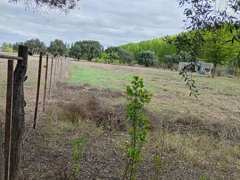 Vendo Lote Ruta 188yEcheverria Alvear Oportortudad
