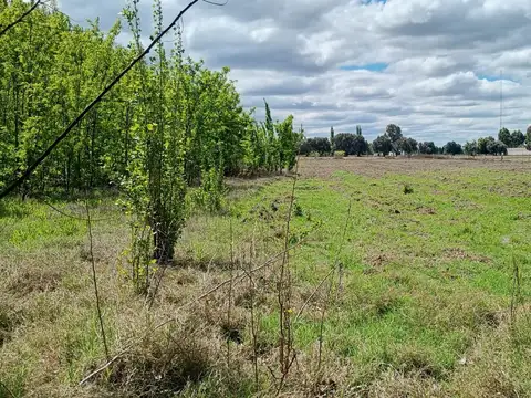 Terreno en Venta en General Alvear, USD 110.000