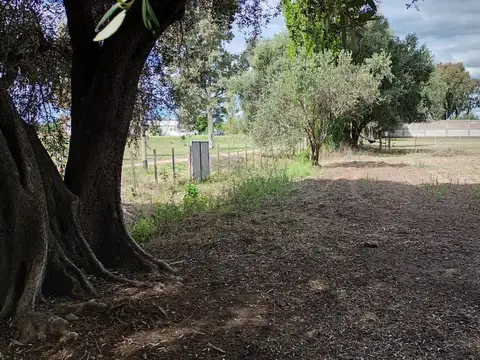 Terreno en Venta de 10550,0 m2