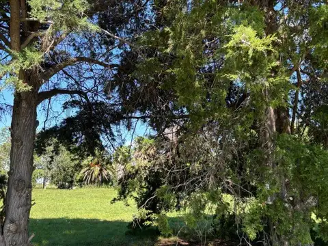 Terreno en Venta de 350,0 m2