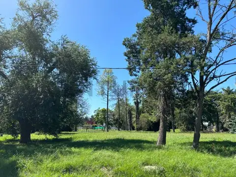 Terreno en Venta en Joaquín Gorina, USD 47.850