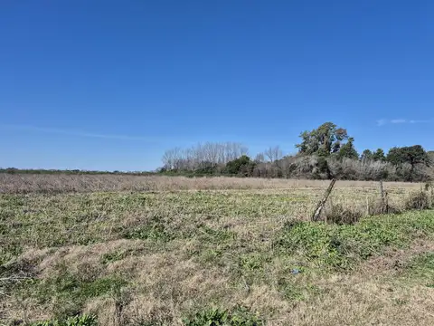 Terreno en Venta 509  mts Fondo