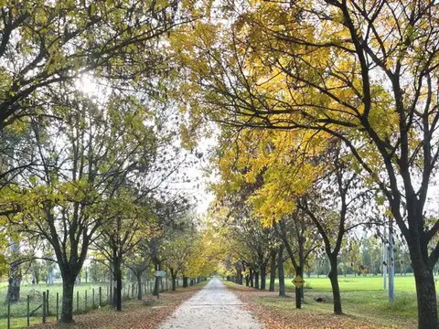 Terreno en Venta de 5708,0 m2