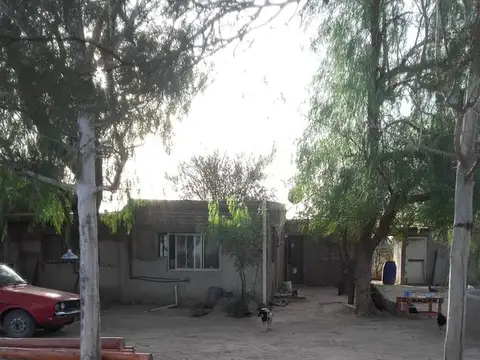 Campo - Ulapes