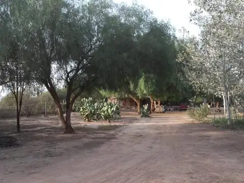 Campo - Ulapes