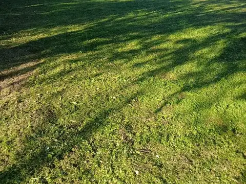 Quinta en Venta 20 años