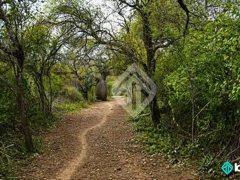 Campo en venta de 2400 ha ubicado en Hickmann, Salta