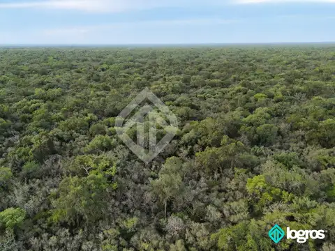 Campo en venta de 2400 ha ubicado en Hickmann, Salta