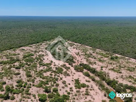 Campo en venta de 2400 ha ubicado en Hickmann, Salta