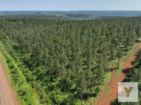 Campo en Venta - 7760000mts - Misiones