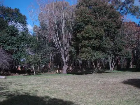 Venta de lote en La Plata