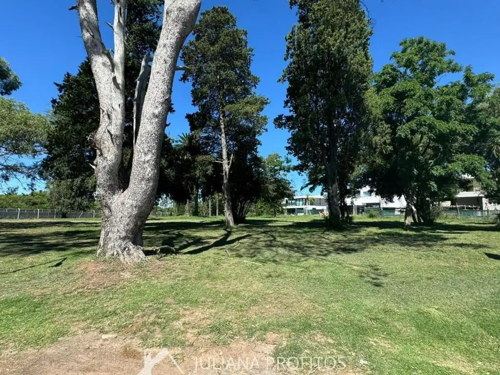 Terreno - 1.395  m² Total | 1.395  m² Construible