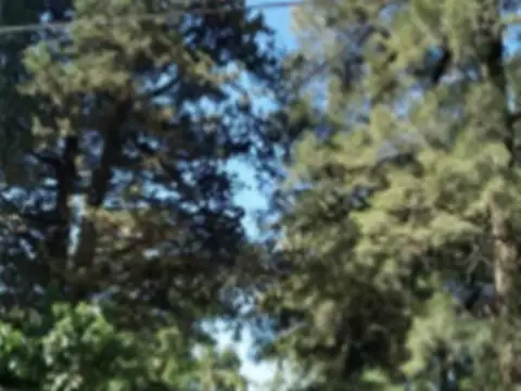 Terreno en Venta en Haras Myriam, USD 180.000