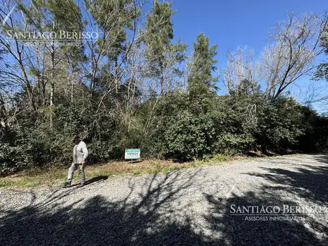 CALLE EL ALAZAN ENTRE EL BOYERO Y LOS GAUCHOS - BARRIO SANTA BRIGIDA - LOS CARDALES