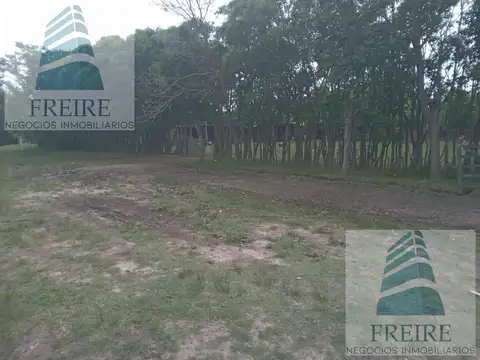 Terreno en Venta 10  mts Frente