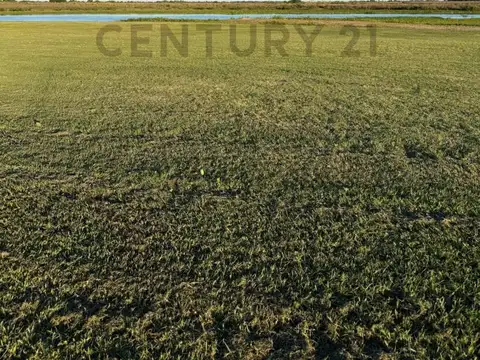 Terreno en Venta en San Javier, USD 38.000