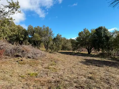 Lote solares del Este